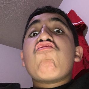 Meet your Posher, Brady